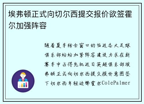 埃弗顿正式向切尔西提交报价欲签霍尔加强阵容